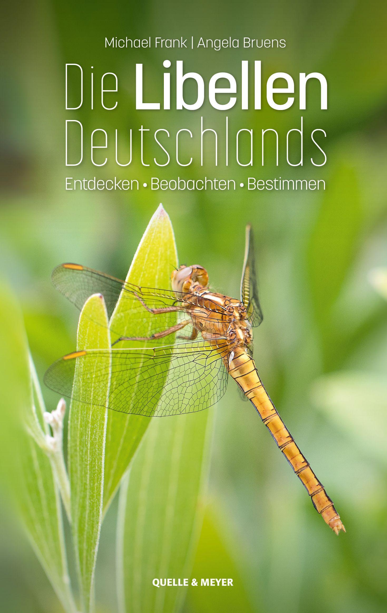 Die Libellen Deutschlands Entdecken - Beobachten - Bestimmen