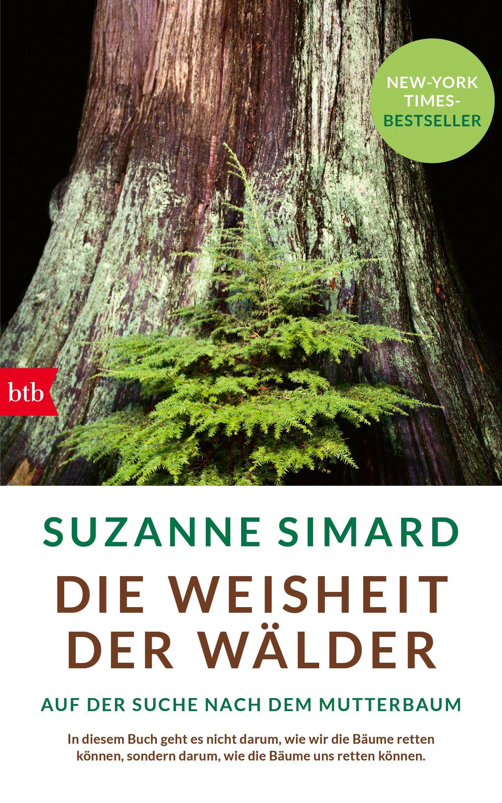 Die Weisheit der Wälder Auf der Suche nach dem Mutterbaum