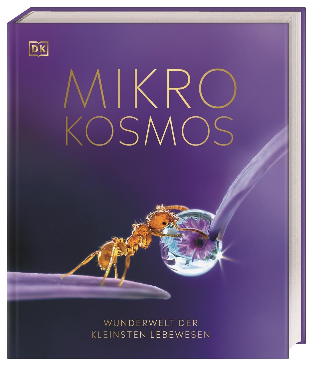 Mikrokosmos - Wunderwelt der kleinsten Lebewesen Mikroskopbilder und atemberaubende Makrofotografien illustrieren die unsichtbare Welt unseres Mikrokosmos