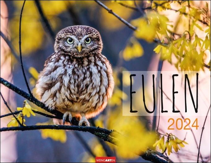 Eulen Kalender 2024