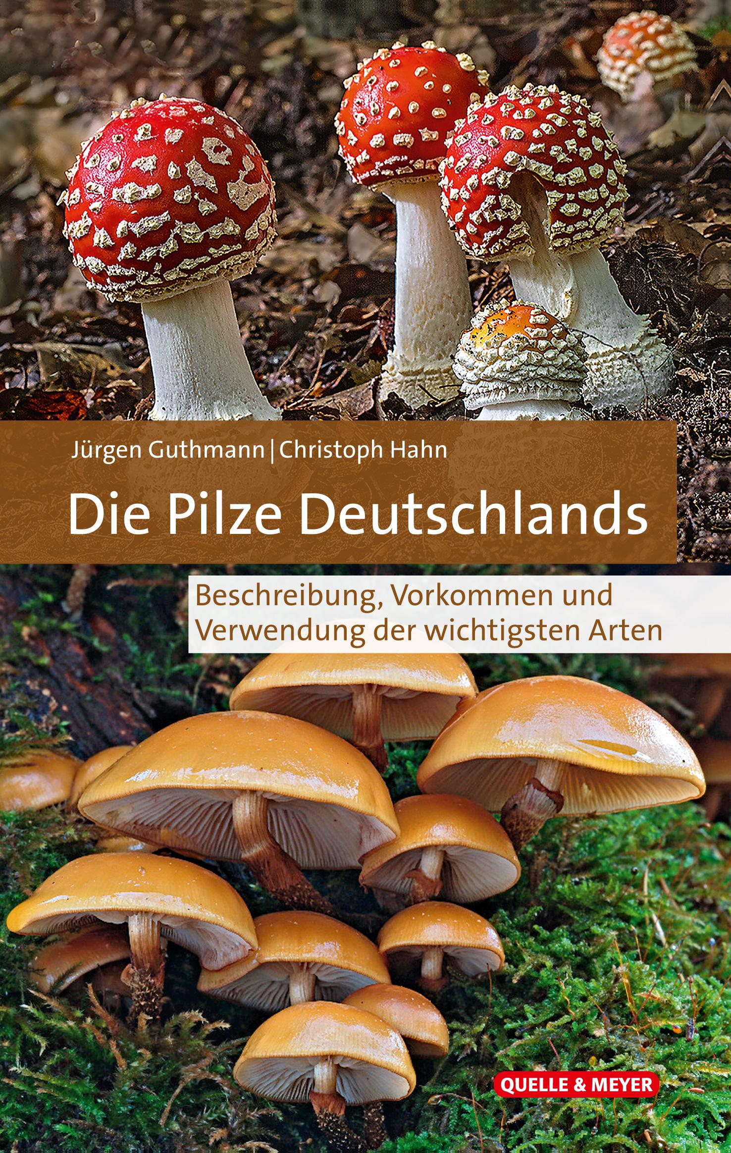 Die Pilze Deutschlands im Porträt