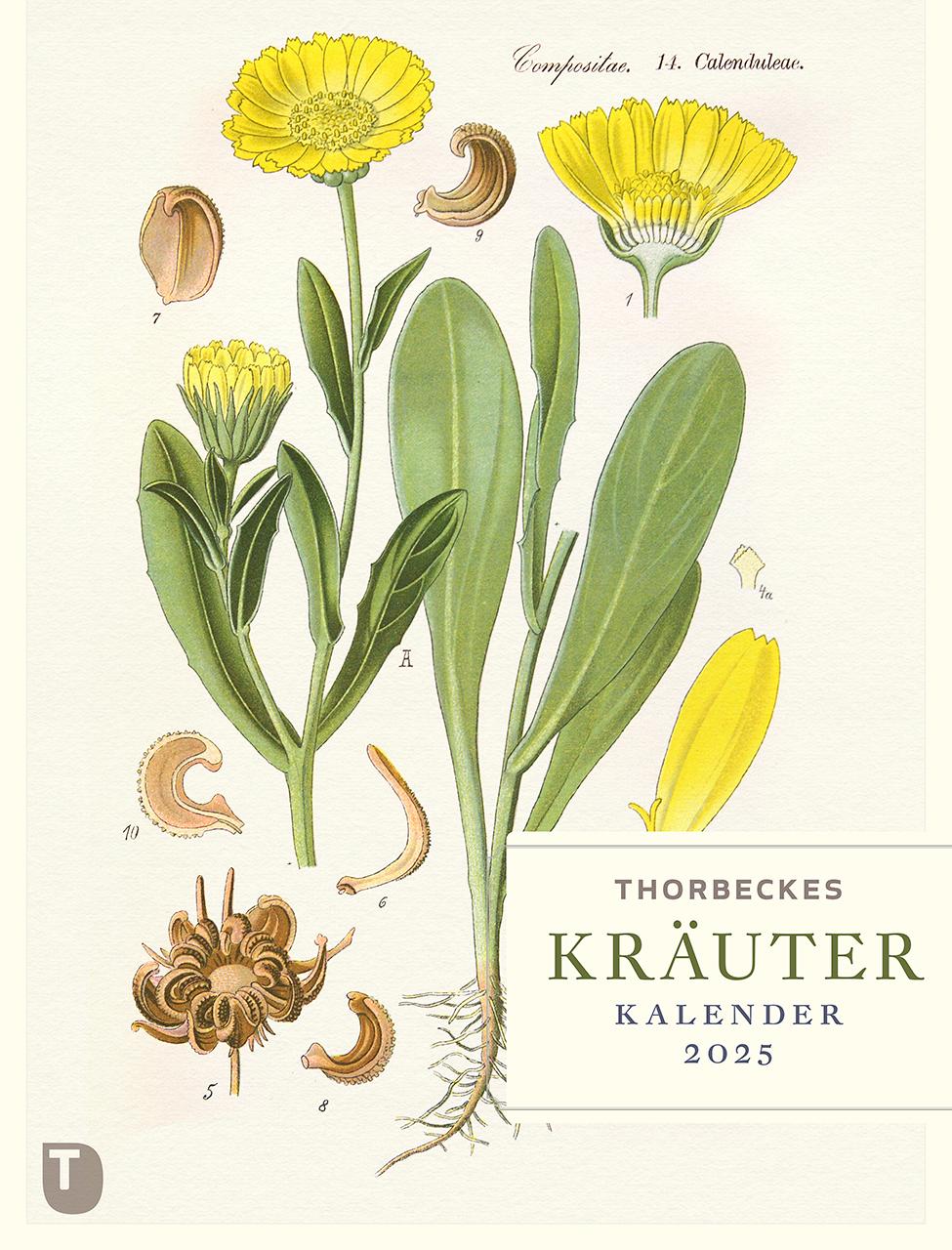 Thorbeckes Kräuter-Kalender 2025 Maße (B/H): 24 x 32 cm, Wochenkalender  MOL_1235075304