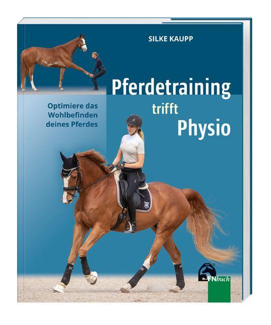 Pferdetraining trifft Physio Optimiere das Wohlbefinden deines Pferdes