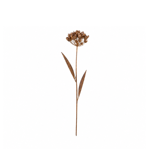 Metallblume Rost – Dacia