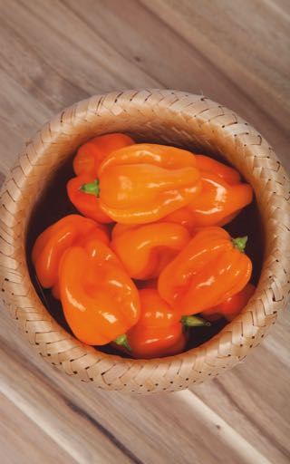 Saatgut-Holzbox XS – Hot & Spicy