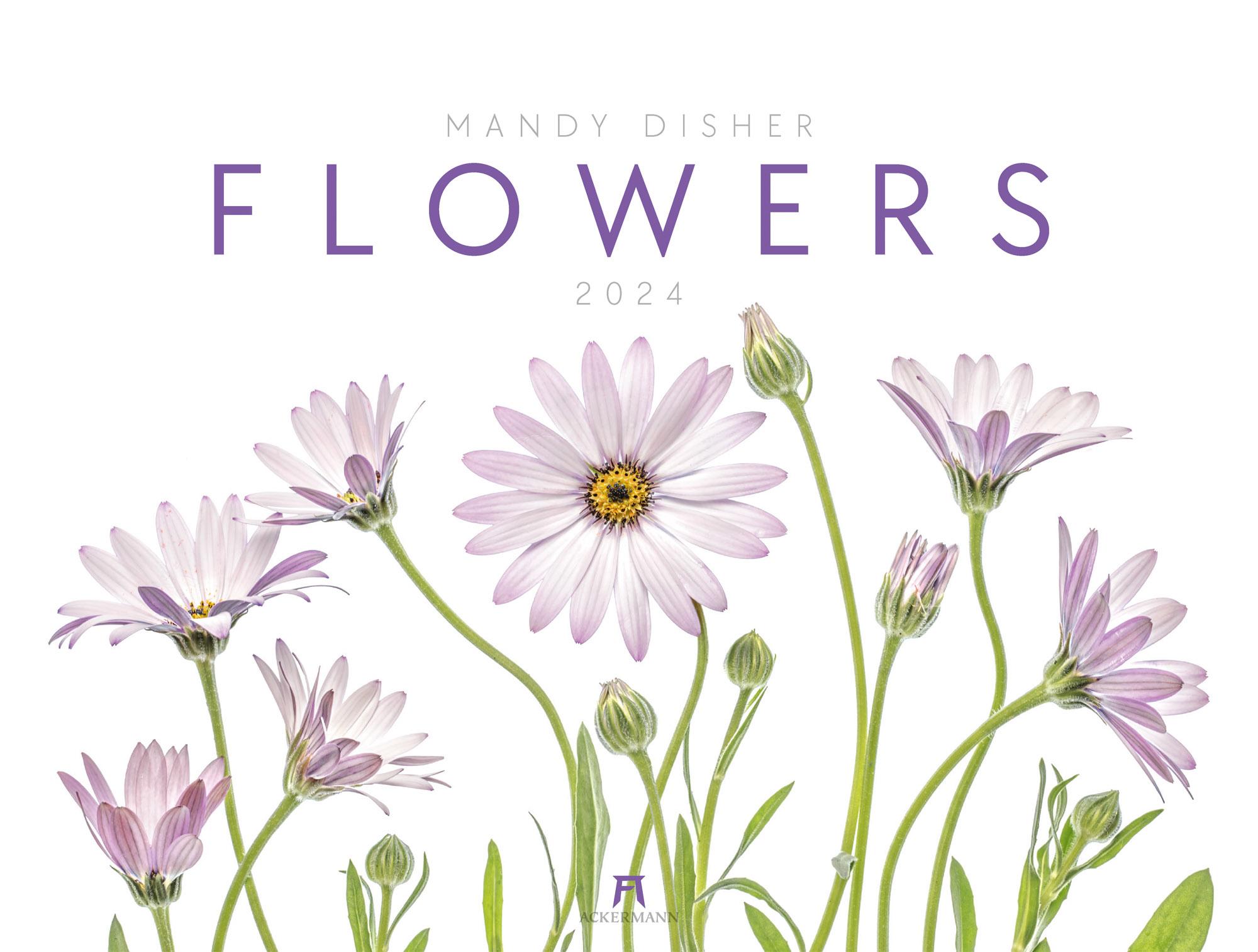 Flowers - Mandy Disher - Kalender 2024 Maße (B/H): 66 x 50 cm, Fotokalender